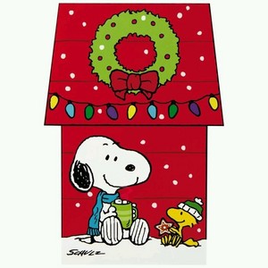  Snoopy and Woodstock🎄