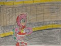 Sonic Riders Zero Gravity ! Amy Rose in Safe Place,,.. - sonic-the-hedgehog fan art