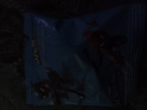 Spider-Man Fruit Snacks Pack