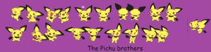  The Pichu Bros