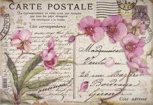  Vintage Postcard