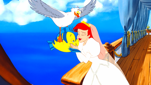  Walt 디즈니 Screencaps - Scuttle, 가자미, 넙치 & Princess Ariel