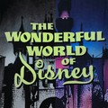 Wonderful World Of Disney  - disney photo
