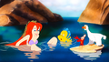 Walt Disney Screencaps – Princess Ariel, Flounder, Sebastian & Scuttle - walt-disney-characters photo