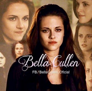  Bella 백조 Cullen