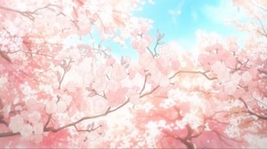 Cherry blossom 🌸