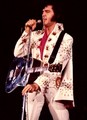 Elvis Presley | Kansas City, Missouri | November 15, 1971 - music photo