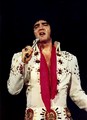 Elvis Presley | Kansas City, Missouri | November 15, 1971 - music photo