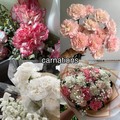 Flowers ~ Carnations - jlhfan624 photo