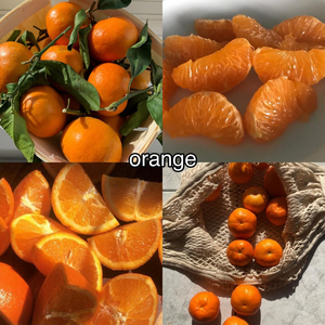  Fruits ~ Oranges