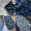 Fruits ~ Blueberries - jlhfan624 photo
