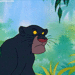 Jungle Book  - disney icon