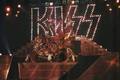 KISS ~Charlotte, North Carolina...January 6, 1985 (Animalize Tour)  - kiss photo