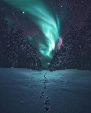  Northern lights in winter 🌌 Lappi, Finland
