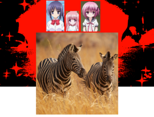  Plains cebra get Reincarnation por Tomoka Minato, Hinata Hakamada, Aoi Ogiyama