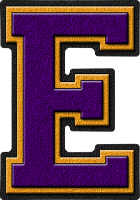  Purple & Gold Varsity Letter E