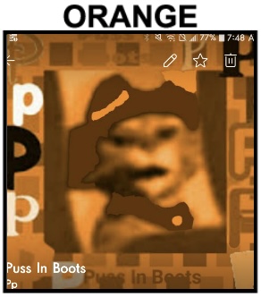  Square Meme trái cam, màu da cam
