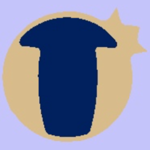  Uppercase blaubeere, heidelbeere T