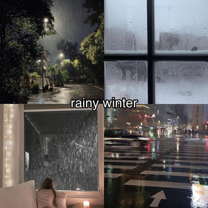  Winter Weather ~ Rainy