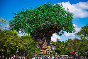  Disney World درخت Of Life