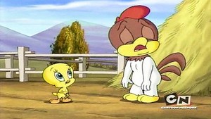 Baby Looney Tunes Season 8 Episode 3