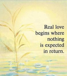 Beautiful Rumi Quotes ♥