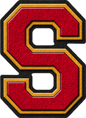  Cardinal Red & 金牌 Varsity Letter S