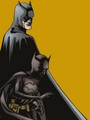 Cassandra Cain | Batman: Family no. 7  - dc-comics photo