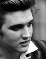 Elvis Presley  - elvis-presley photo