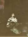 Gene ~Columbia, South Carolina...February 27, 1977 (Rock and Roll Over Tour)  - kiss photo