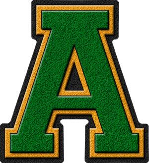  Green & ginto Varsity Letter A
