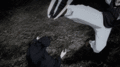 Jujutsu Kaisen: Shibuya Incident - anime photo