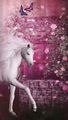 Magical🌸 - unicorns photo