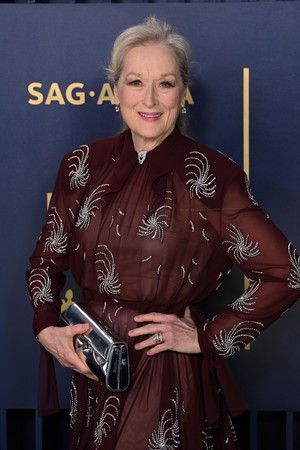  Meryl Streep (2024)