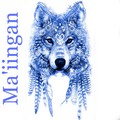 Ozhaawashkobii'an-Ma'iingan 🐺 Blue Wolf - wolves fan art