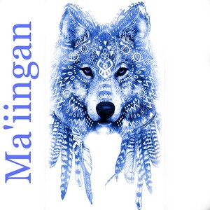  Ozhaawashkobii'an-Ma'iingan 🐺 Blue بھیڑیا
