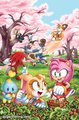 Sonic IDW - sonic-the-hedgehog photo
