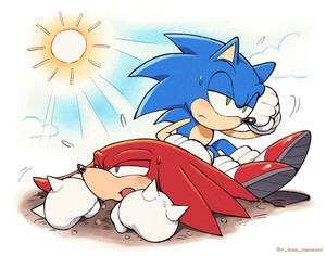  Sonic and knuckles