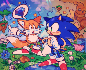  Sonic and tails