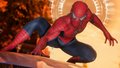 Spiderman  - spider-man photo