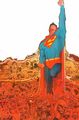Superman  - superman photo