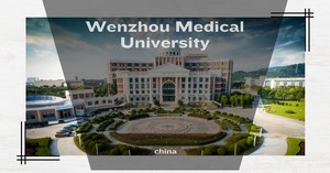  Wenzhou Medical universität China
