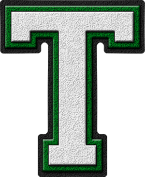  White & Green Varsity Letters T