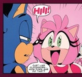sonic and amy - sonic-the-hedgehog photo