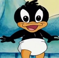 Baby Daffy Duck.jpg - duffy-duck photo