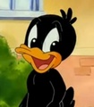 DAFFY DUCK (BABY) - duffy-duck photo