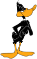 Daffy Duck.png - duffy-duck photo