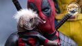 Deadpool and Dogpool | Deadpool And Wolverine - deadpool-2016 photo