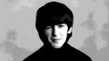 George Harrison ♡ - the-beatles wallpaper