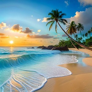  bờ biển, bãi biển vibes!🌊🌴🌅🐚🦋